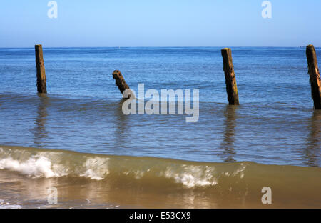 A solitary row of posts of old abandoned sea defences at Cart Gap, near Happisburgh, Norfolk, England, United Kingdom.