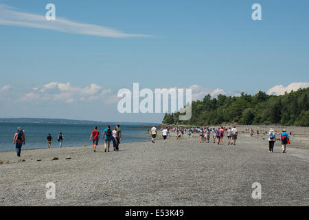 Maine, Bar Harbor. Bar Island, accessed only at low tide by a natural land bridge that emerges from the ocean. Tourists crossing Stock Photo