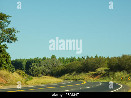 Perfect paved road with signs showing a curve Stock Photo