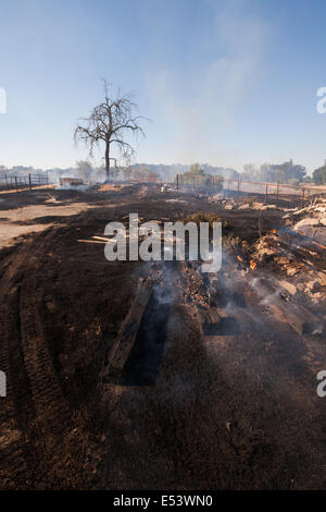 Patterson, CA, USA. 12th July, 2014. A quick moving river bottom fire the the response from several west Stanislaus County fire departments. With dry conditions and a breeze the fire jumped to 50 acres in a matter of a half hour. © Marty Bicek/ZUMA Wire/Alamy Live News Stock Photo