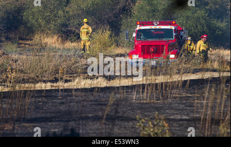 Patterson, CA, USA. 12th July, 2014. Firefighters look for hot spots after a quick moving river bottom fire the the response from several west Stanislaus County fire departments. With dry conditions and a breeze the fire jumped to 50 acres in a matter of a half hour. © Marty Bicek/ZUMA Wire/Alamy Live News Stock Photo