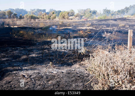 Patterson, CA, USA. 12th July, 2014. A hot and quick moving river bottom fire the the response from several west Stanislaus County fire departments. With dry conditions and a breeze the fire jumped to 50 acres in a matter of a half hour. © Marty Bicek/ZUMA Wire/Alamy Live News Stock Photo