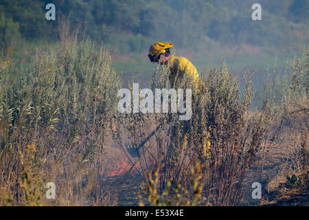 Patterson, CA, USA. 12th July, 2014. A firefighter knocks down a spot fire as they work to put out a river bottom fire along the Tuolumne River. A quick moving river bottom fire the the response from several west Stanislaus County fire departments. With dry conditions and a breeze the fire jumped to 50 acres in a matter of a half hour. © Marty Bicek/ZUMA Wire/Alamy Live News Stock Photo
