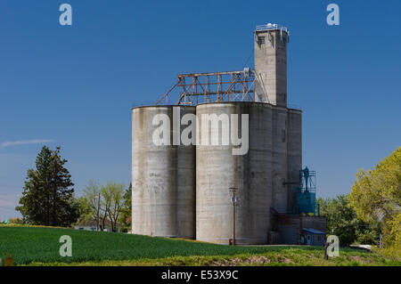 Concrete grain storage silos and elevator in a field Stock Photo