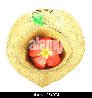 Candle in coconut shell on a white background Stock Photo