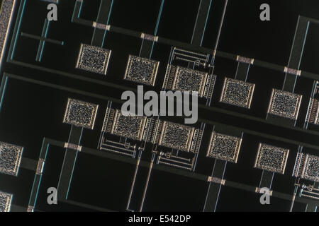 Micro-photograph of tiny section of micro-circuitry of a single chip die on a silicon wafer. Digital technology concept, micro circuits, tiny concept. Stock Photo