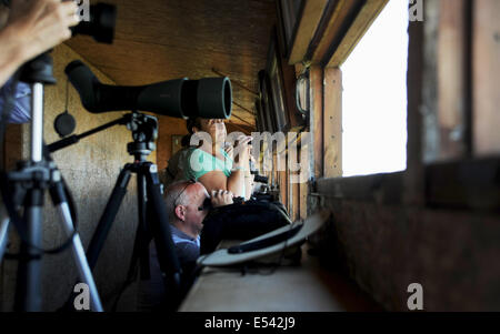 Minsmere RSPB Nature Reserve in Sufflok East Anglia UK Inside a hide birdwatchers with scopes and binoculars Stock Photo