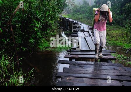 Carrying cement sacs - Traditional bridge in PANGUANA . Department of Loreto .PERU Stock Photo