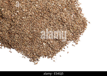 Fennel tea - a pile of fennel seeds isolated on white background Stock Photo