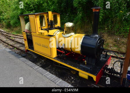 A steam engine at  the Amberley Chalk pit museum. Stock Photo