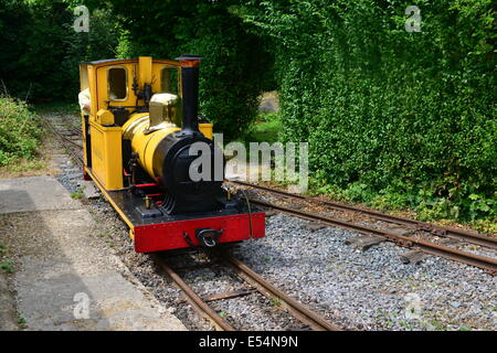 A steam engine at  the Amberley Chalk pit museum. Stock Photo