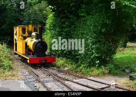 A steam engine at  the Amberley Chalk pit museum. Stock Photo