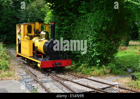 A steam engine at  the Amberley Chalk pit museum. Stock Photo