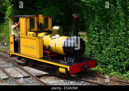 A steam engine at  the Amberley Chalk pit museum. Stock Photo