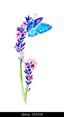 Summer lavender flowers and butterflies isolated on white, watercolor Stock Photo