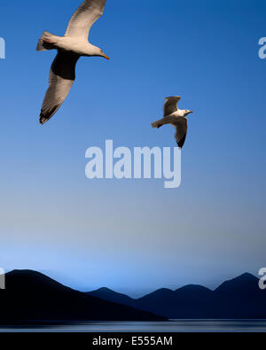 DIGITAL ART: The Birds (Background Taransay, Outer Hebrides of Scotland) Stock Photo