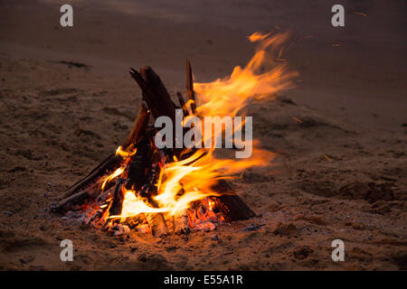 Bonfire on the sandy beach after sunset Stock Photo