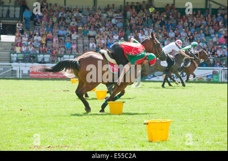 Llanelwedd, UK. 21st July 2014. The Royal Welsh Mounted Games takes place in the Main Ring. A record numbers of visitors in excess of 240,000 are expected this week over the four day period of Europe’s largest agricultural show. Livestock classes and special awards have attracted 8,000 plus entries, 670 more than last year. The first ever Royal Welsh Show was at Aberystwyth in 1904 and attracted 442 livestock entries. Credit:  Graham M. Lawrence/Alamy Live News.