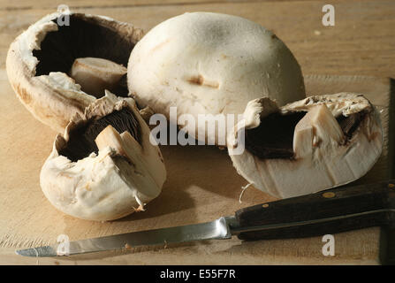 fresh field mushrooms on a wooden board Stock Photo