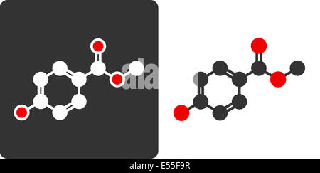 Paraben (methylparaben, E218) controversial preservative molecule, flat icon style. Used in cosmetics and pharmaceutical product Stock Photo