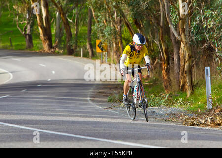 Southern Districts Veterans and Ladies Cycling Club racing McLaren Flat South Australia Fleurieu Peninsula Stock Photo