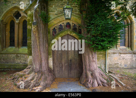 Trees growing around one of the doorways to St. Edwards Church, Stow-on-the-Wold, Cotswolds, Gloucestershire, England Stock Photo