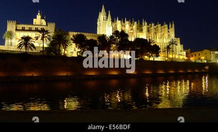 The Royal Palace of La Almudaina and Palma Cathedral at Night Stock Photo