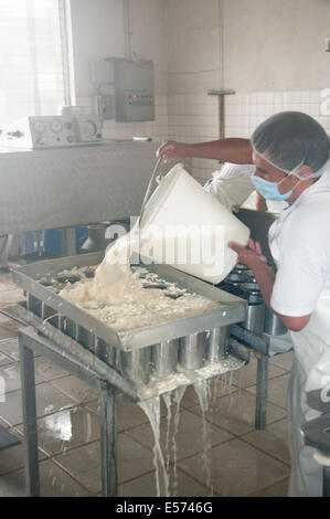 Xelac producers cooperative in Quetzaltenango, Guatemala. Stock Photo