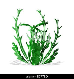 cartoon seaweed Stock Vector