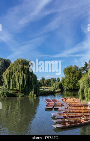 Punts moored on the River Cam, Cambridge, UK Stock Photo