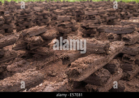 Turf stacks footed for drying to be burnt as fuel to keep houses heated in the winter months. Bog of Allen, Kildare, Ireland. Stock Photo