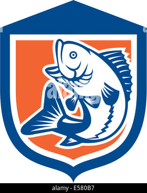 Illustration of a largemouth bass fish jumping viewed from the side set inside a shield crest done in retro style. Stock Photo