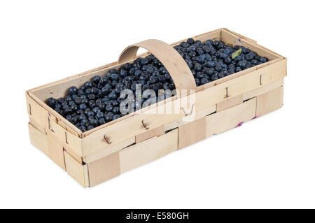 Basket of fresh blueberries isolated on white background with clipping path Stock Photo