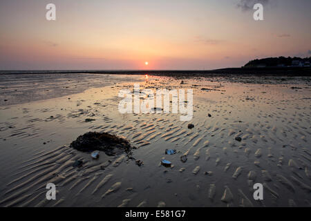 Whitstable, Kent, UK 23rd July, 2014. Dawn at Whitstable as the sunrise lights up ripples in the sand and some discarded oyster shells. The weather is set to be warm and sunny for the next few days, but with possible showers for the weekend. Stock Photo