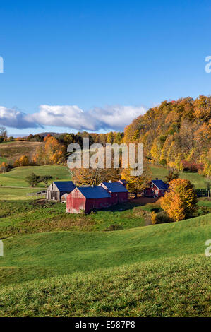 Colorful autumn farm, Reading, Vermont, USA Stock Photo