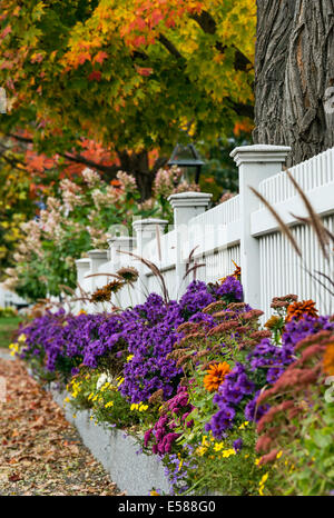 Charming white picket fence with colorful autumn trees and flowers, Grafton, Vermont, USA Stock Photo