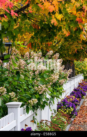 Charming white picket fence with colorful autumn trees and flowers, Grafton, Vermont, USA Stock Photo