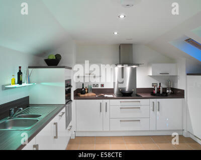 Open plan kitchen with skylight in Great Western Dockyard Bristol. Housing Development next to the SS Great Britain site Stock Photo
