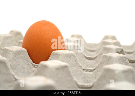 Egg in craton Stock Photo