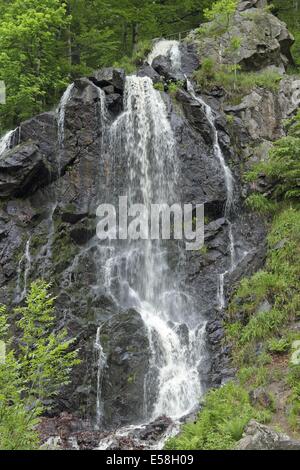 Radau Waterfall, Bad Harzburg, Lower Saxony, Germany Stock Photo