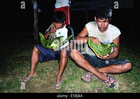 Eating Juanes - Cement downloading  in Panguana. Department of Loreto .PERU Stock Photo