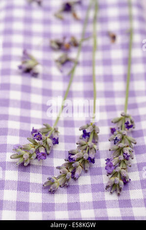 Close up of purple lavender in vertical format Stock Photo