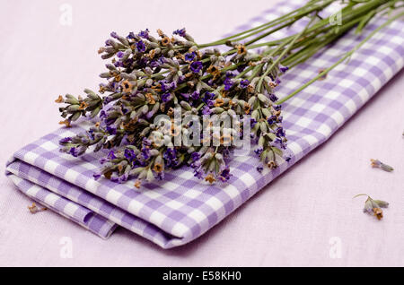 Flowers of purple lavender on a checkered cloth Stock Photo