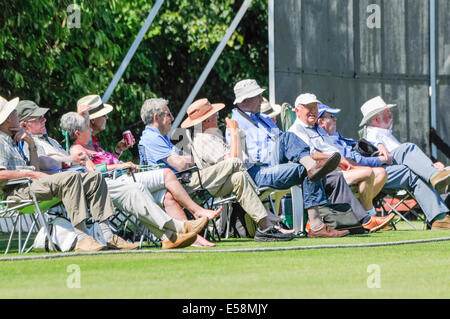 Belfast, Northern Ireland. 23 Jul 2014 - Spectators watch as Sri Lanka bowl out Ireland to win by 28 runs Credit:  Stephen Barnes/Alamy Live News Stock Photo