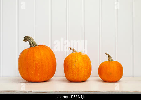 Three pumpkins sitting on a white studio background Stock Photo - Alamy