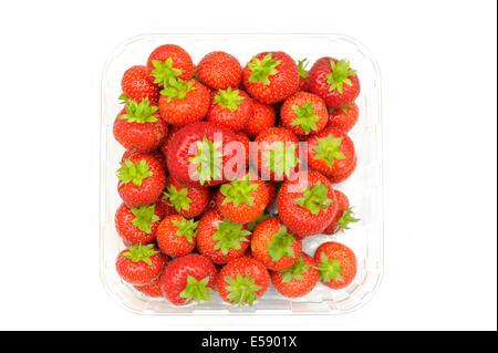 A punnet of fresh English strawberries Stock Photo