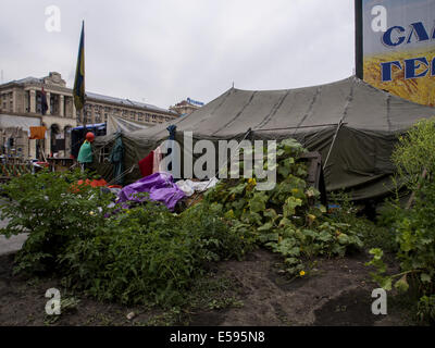 July 23, 2014 - Hundred Maidan from Kolomya planted a small garden near his tent. Barricades and tents at Maydan Nezalezhnosti in Kyiv stayed after winter revolution (Credit Image: © Igor Golovniov/ZUMA Wire) Stock Photo