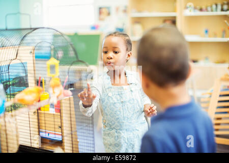 Students examining birdcage in classroom Stock Photo