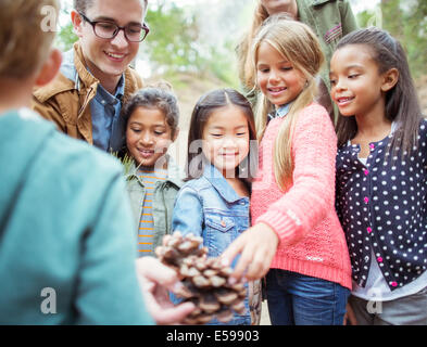 Students and teacher examining pine cone in forest Stock Photo