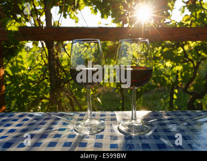 Austria, Burgenland, Oberwart District, Eisenberg an der Pinka, Red wine glasses against the sun Stock Photo